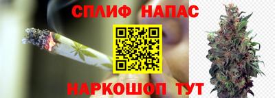 скорость Новодвинск