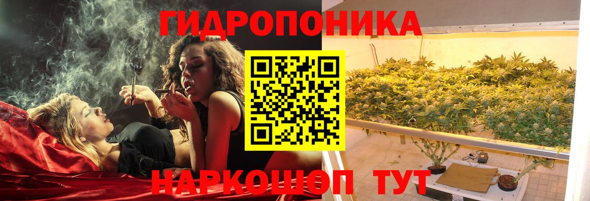 Каннабис AK-47  МАРИХУАНА THC 21%  Дагестанские Огни  Вход с VPN 